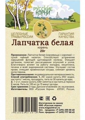 Корень белой лапчатки