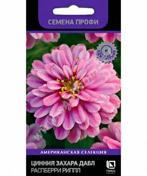 Цинния Захара Дабл Распберри Риппл (Семена Профи) (ЦВ) ("1) 5 шт