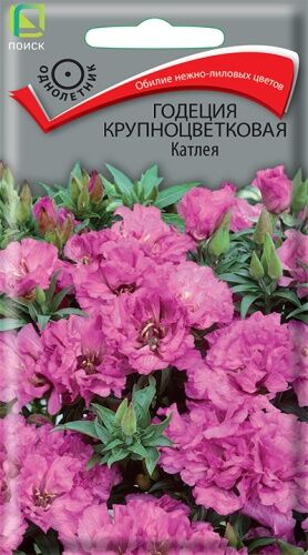 Годеция крупноцветковая Катлея (ЦВ) (1") 0,2гр.