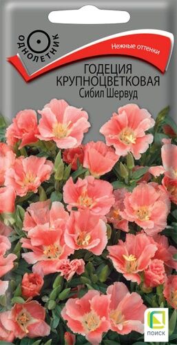 Годеция крупноцветковая Сибил Шервуд (ЦВ) ("1) 0,2гр.