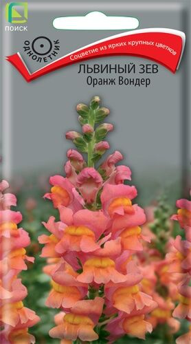 Львиный зев (Антирринум) Оранж Вондер (ЦВ ) ("1) 0,1гр.