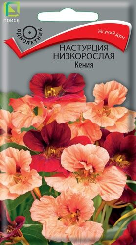 Настурция низкорослая Кения (ЦВ) ("1) 1гр.
