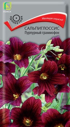 Сальпиглоссис Пурпурный граммофон (ЦВ) ("1) 0,01гр.