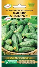 Огурец партенокарпик МАЛЬЧИК С ПАЛЬЧИК F1 (8 шт)
