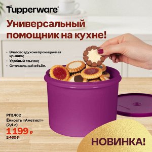 Ёмкость «Аметист» (2,4 л)