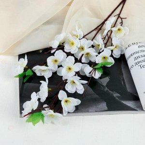 Цветы искусственные «Ветка яблони», 4.5x58 см, белые
