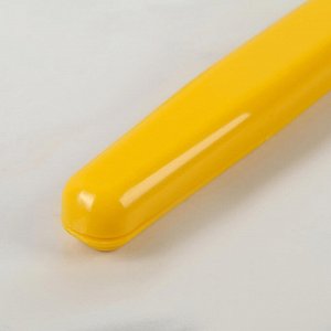 Футляр для зубной щётки, 21 см, цвет МИКС