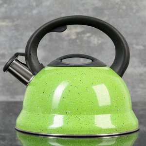 Чайник со свистком Доляна «Рио», 2,8 л, фиксированная ручка, цвет зелёный