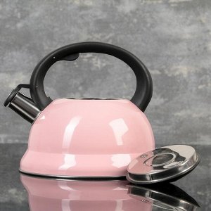 Чайник со свистком 2,8 л "Рио", фиксированная ручка, цвет розовый