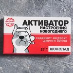 Шоколад «Активатор настроения», 27 г