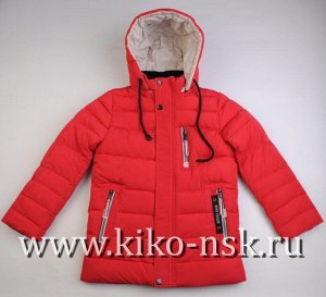 ZZ4629М Куртка зимняя