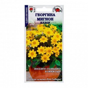 Семена цветов Георгина "Мигнон Еллоу", 0,2 г