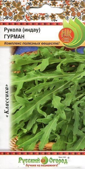 С Салат руккола (индау) Гурман орех вкус раннеспелый КОЛЬЧУГА 0,3гр НК/ЦВ