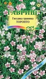 С Ц Гвоздика травянка Торонто белая с красным кольцом в центре, 15см, мног 0,05гр Гавриш/ЦВ