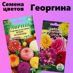 Семена однолетних цветов. Георгина