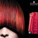Schwarzkopf professional