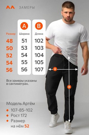 Мужские брюки-джоггеры Happyfox