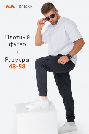Мужские брюки из футера двухнитки Happyfox