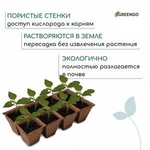 Кассета для рассады, 30x15x8 см, 8 ячеек по 150 мл, 6x6 см, торф, набор 3 шт.