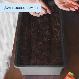 Ящик для рассады, 36 x 14 x 9 см, 3 л, пластик, чёрный