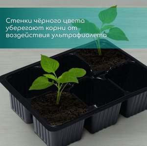 Кассета для рассады, 6 ячеек по 120 мл, пластик, чёрная, 18x13x6 см, набор 10 шт., Greengo