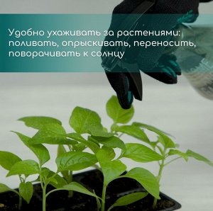 Кассета для рассады, 6 ячеек по 120 мл, пластик, чёрная, 18x13x6 см, набор 10 шт., Greengo