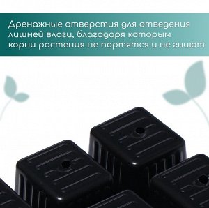 Кассета для рассады, 6 ячеек по 120 мл, пластик, чёрная, 18x13x6 см, набор 10 шт., Greengo