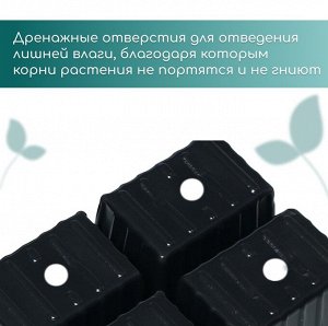 Кассета для рассады, 4 ячейки по 180 мл, пластик, чёрная, 18 x 13 x 6 см, набор 10 шт., Greengo