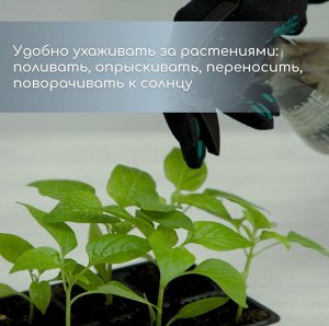 Кассета для рассады, 10 ячеек по 100 мл, набор 5 шт., чёрная