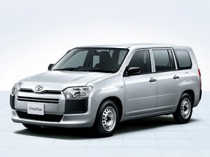 Коврик в багажник Toyota Succeed (2002 - 2014)