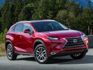 Ковры салонные 3D Lexus NX300H (2014--) правый руль