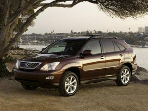 Ковры салонные 3D Lexus RX350 (04.2006 - 04.2009)