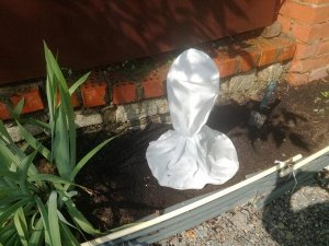 Укрытие для роз «Зимний домик»