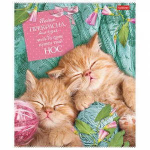 Тетрадь А5, 40 л., HATBER, скоба, клетка, обложка картон, "Без кота - жизнь не та" (5 видов), 40Т5В1