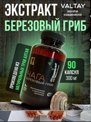 Чага, березовый гриб, экстракт, 90 капсул по 300мг