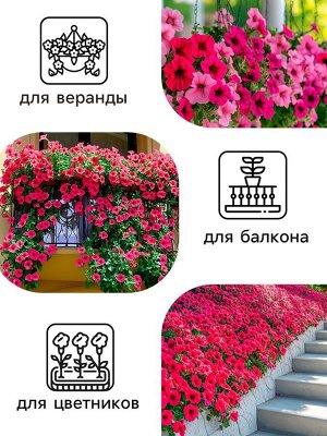 Семена Цветов Петуния "Тайдал Вейв Пурпл", 5 шт