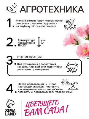 Семена цветов Эустома "Супер Мэджик" F1 смесь, О, DARIT 8 шт