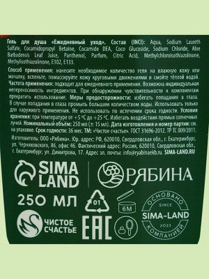 Подарочный набор новогодний ЧИСТОЕ СЧАСТЬЕ «С праздником»: гель для душа 250 мл и мочалка для тела