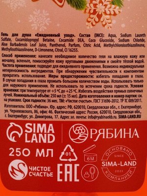 Подарочный набор новогодний ЧИСТОЕ СЧАСТЬЕ «Сказка»: гель для душа 250 мл и мочалка для душа