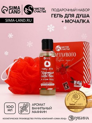 Подарочный набор новогодний «Счастливого праздника», гель для душа 100 мл и мочалка для тела, Чистое счастье