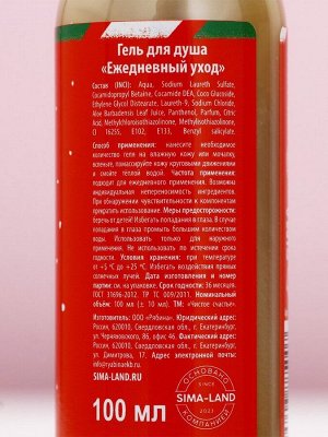 Подарочный набор новогодний женский «Счастливого праздника», гель для душа 100 мл и мочалка для тела, Чистое счастье