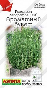 Розмарин Ароматный букет (Код: 92355)