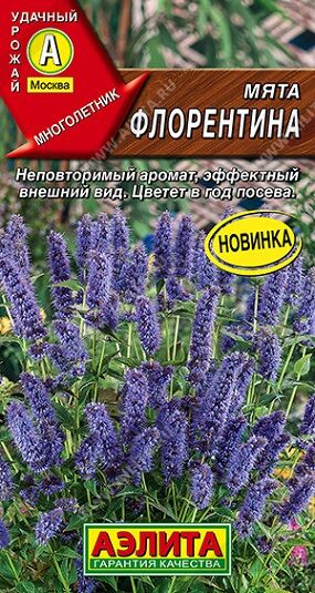Мята Флорентина (Код: 92344)