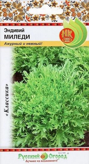 Эндивий Миледи (Код: 92602)