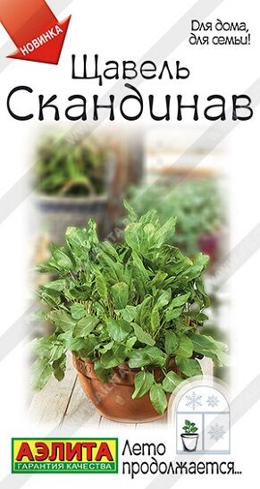 Щавель Скандинав (Код: 93136)