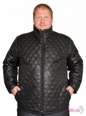 Куртка Модель №1713 размеры 44-84