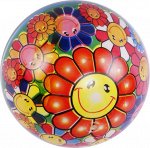 Мячик (22см) 200419081 SRH121104 (1/50/10)