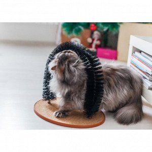 Комплекс для кошек с когтеточкой и аркой-чесалкой