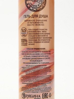 Подарочный набор NUDE MOOD, гель для душа и шампунь для волос, 2?250 мл, аромат карамели и земляники, URAL LAB