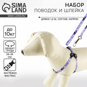 Комплект «Мур! Мур!», шлейка 24-34х1 см, поводок 120 см